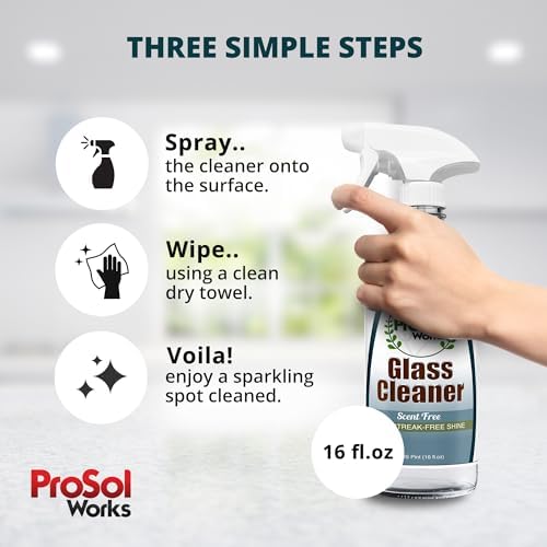 PROSOL WORKS Glass Cleaner 16 oz - Multi-Surface
