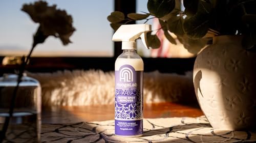 HoogaLab Water Spot Remover 16oz 2 Pack 1