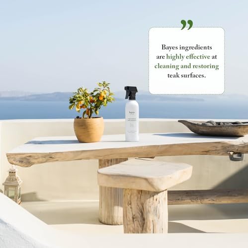 Bayes High Performance Teak Cleaner Restorer - 16 oz