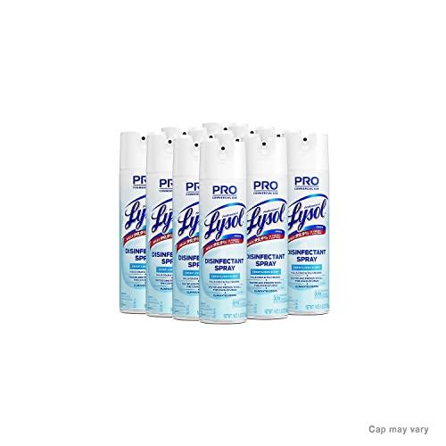 Lysol Disinfectant Spray 19 Fl Oz Multi-Purpose