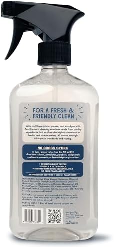 Aunt Fannies Stainless Steel Cleaner Spray