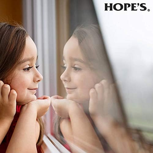 HOPES Streak-Free Ammonia-Free Glass Cleaner 32 Fl Oz