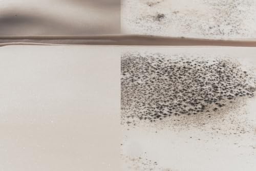 POFL No Scrub Outdoor Fabric Cleaner 1