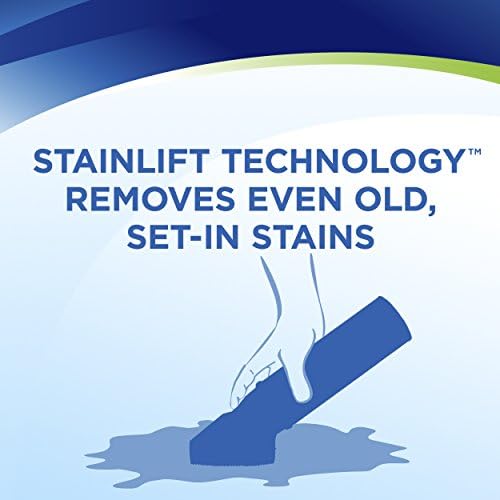 Woolite 4-Pack Carpet Stain Precleaner for Pet Odors