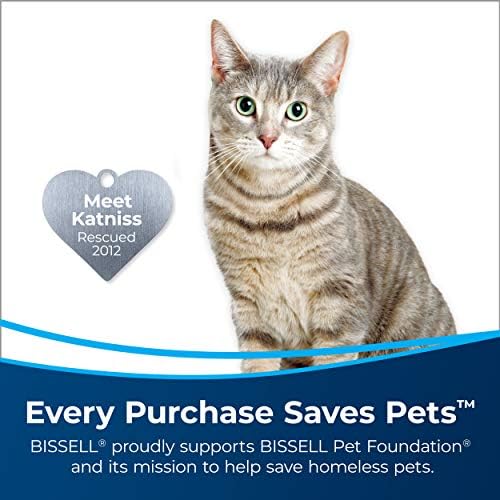 Bissell Pet Stain Remover Sanitize Formula 22oz 2 Pack
