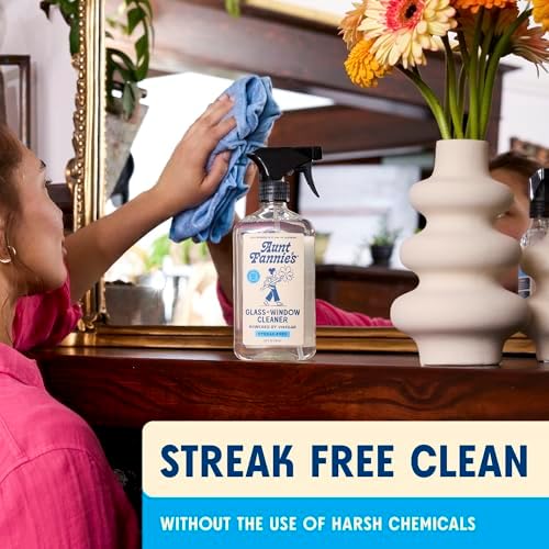 Aunt Fannies Natural Glass Cleaner Spray 169 Ounces Pack of 3