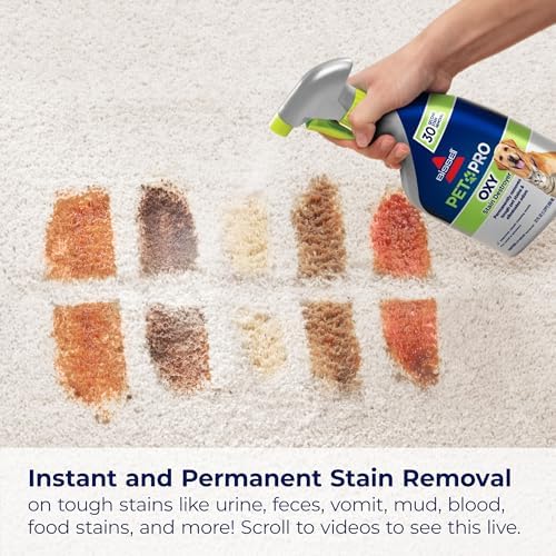 Bissell PET PRO Oxy Stain Destroyer 22 Oz 2 Pack