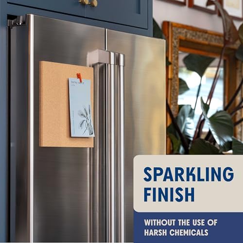 Aunt Fannies Stainless Steel Cleaner Spray