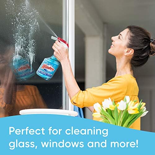 Windex Original Blue Glass Cleaner Refill 2L Pack of 2