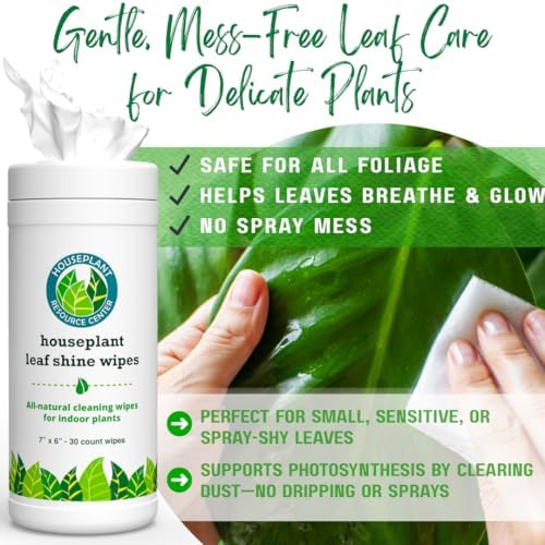 Houseplant Leaf Shine Cleaner Wipes 30 Count 1