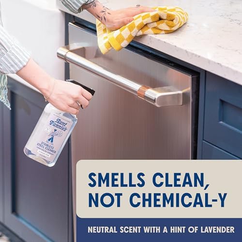 Aunt Fannies Stainless Steel Cleaner Spray