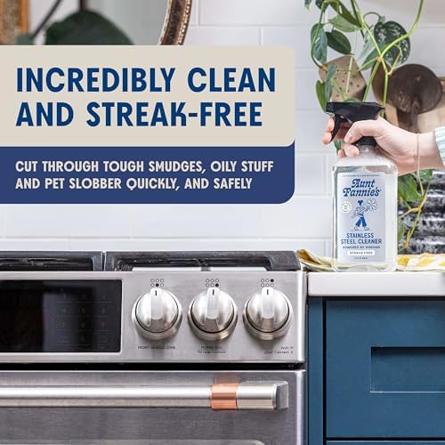 Aunt Fannies Stainless Steel Cleaner Spray