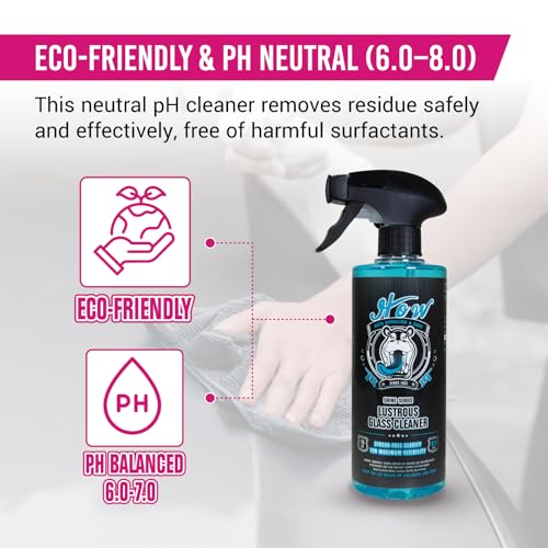 HOW Shine Glass Cleaner 16 oz Streak-Free