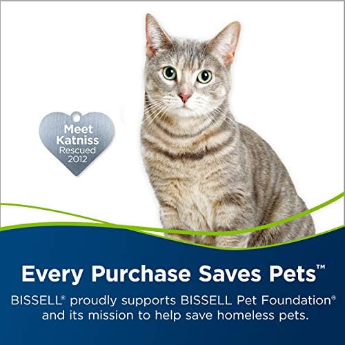 Bissell 2X Pet Stain Odor Carpet Cleaner