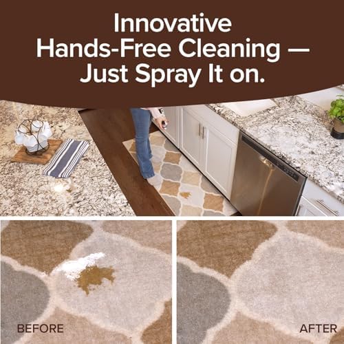 Bull Shot Carpet Spot Stain Remover Made in USA