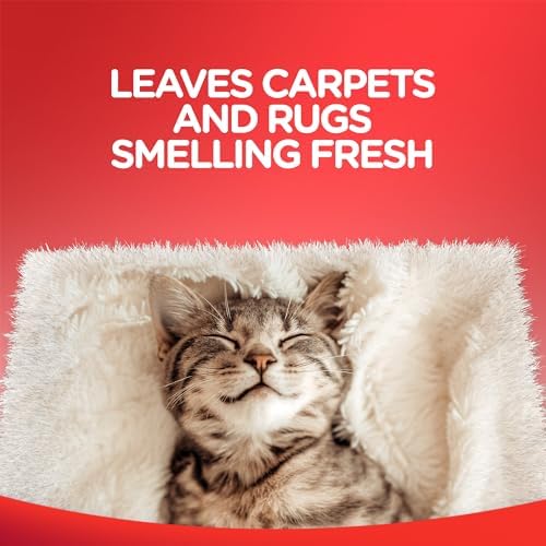 Resolve Carpet Spot Cleaning Spray 22 Oz