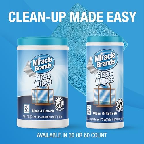 MiracleWipes for Glass - 60 Count Streak Free Wipes