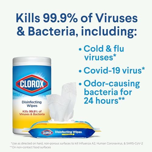 Clorox Disinfecting Wipes Value Pack 75 Count Each Pack of 2