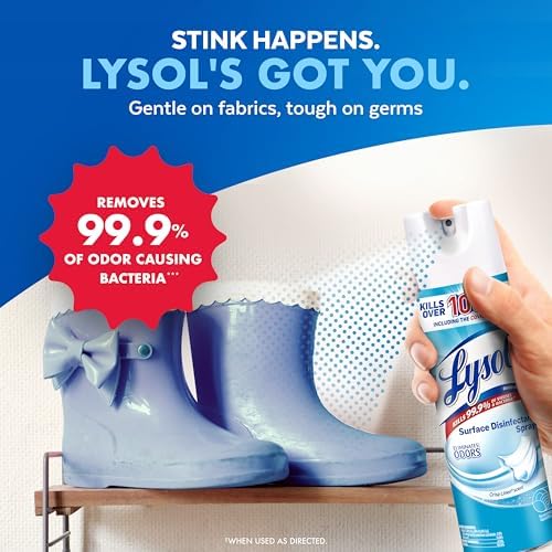 Lysol Disinfectant Spray 19 Fl Oz Pack of 2