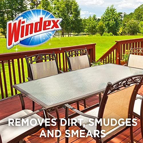 Windex Outdoor Window Cleaner 32 Fl Oz Pack of 2